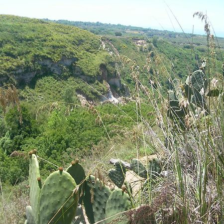Azienda Agrituristica Carida Zaccanopoli Zewnętrze zdjęcie