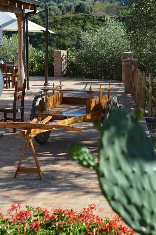 Azienda Agrituristica Carida Zaccanopoli Zewnętrze zdjęcie