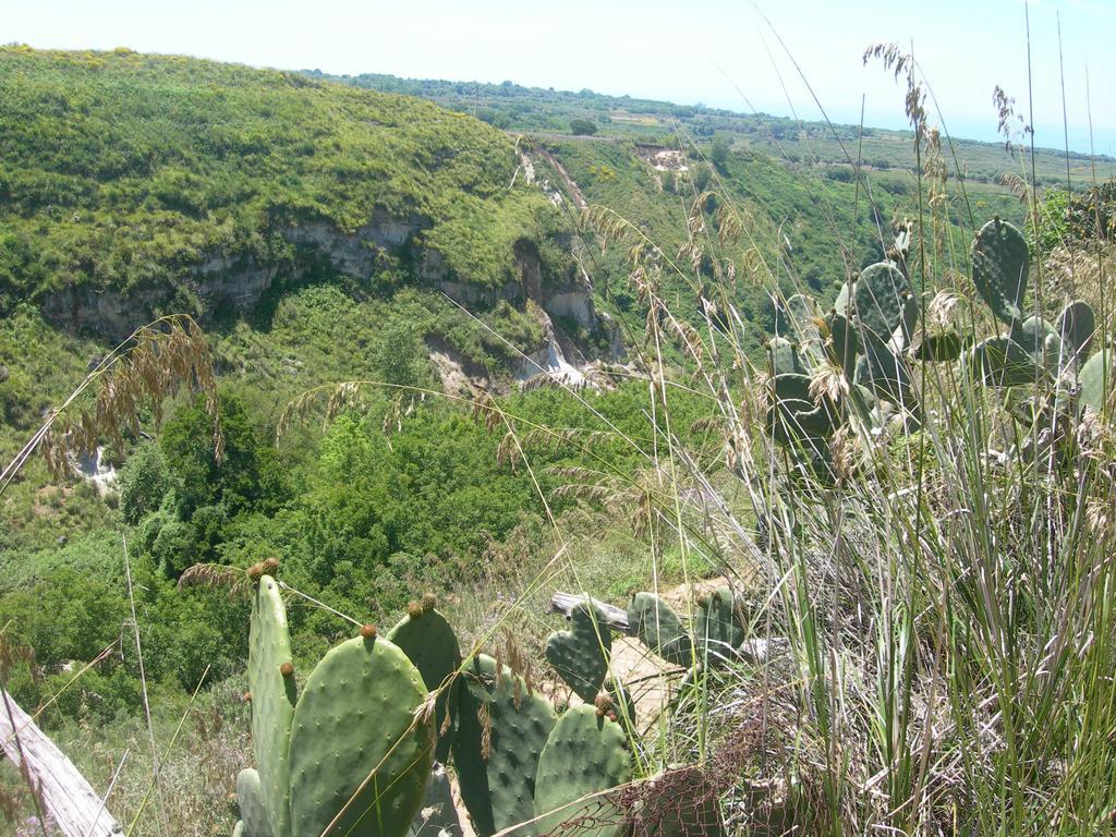 Azienda Agrituristica Carida Zaccanopoli Zewnętrze zdjęcie